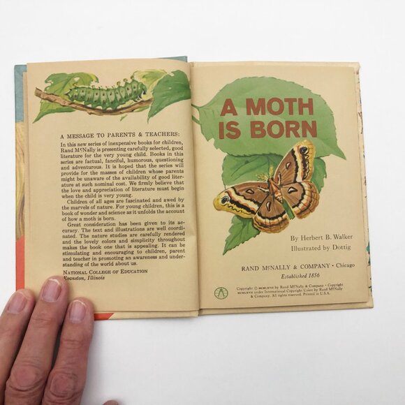 A Moth is Born by Herbert Walker 1967 Hardback - Picture 6 of 8